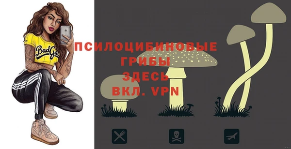 винт Алексин