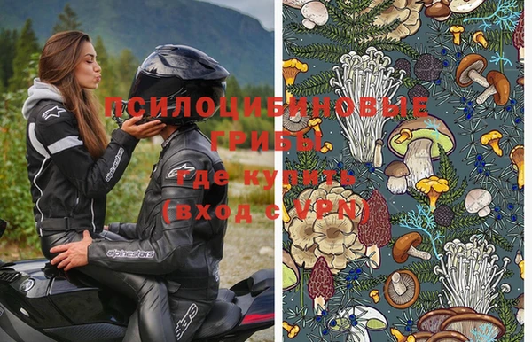 винт Алексин