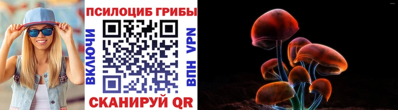 Псилоцибиновые грибы Psilocybe  это как зайти  Карачев 